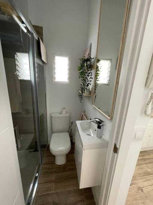 Atico Duplex Con Terraza En Pleno Centro De Jerez Lejlighed Jerez de la Frontera Eksteriør billede