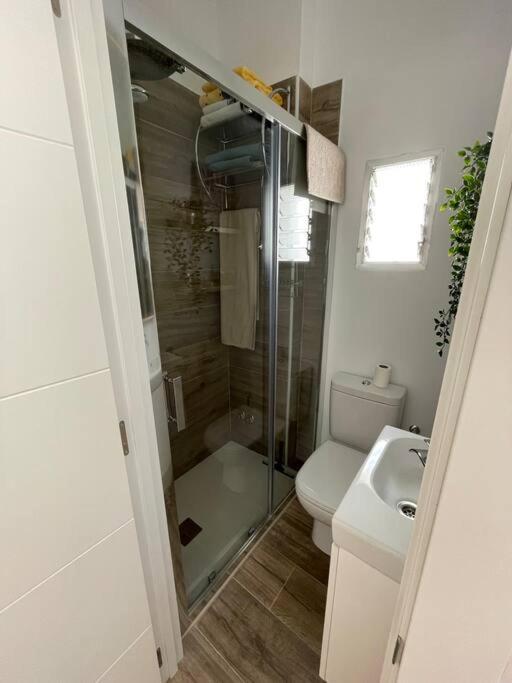 Atico Duplex Con Terraza En Pleno Centro De Jerez Lejlighed Jerez de la Frontera Eksteriør billede